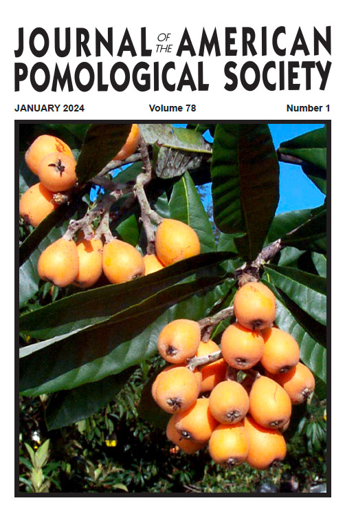 January 2024 Issue of Journal of the American Pomological Society, picture of loquat fruit which is orange. 